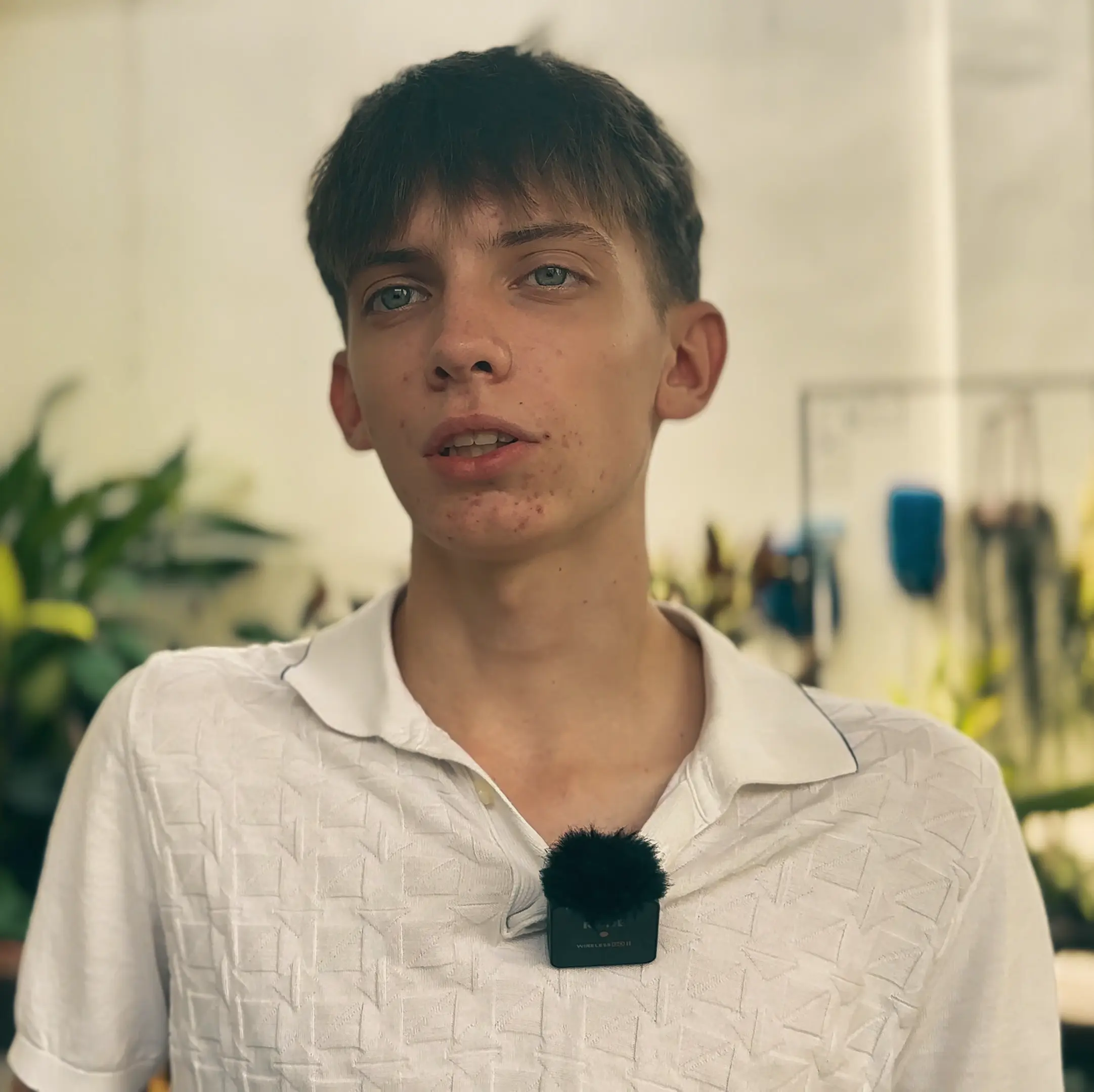 Instant Essay Feedback